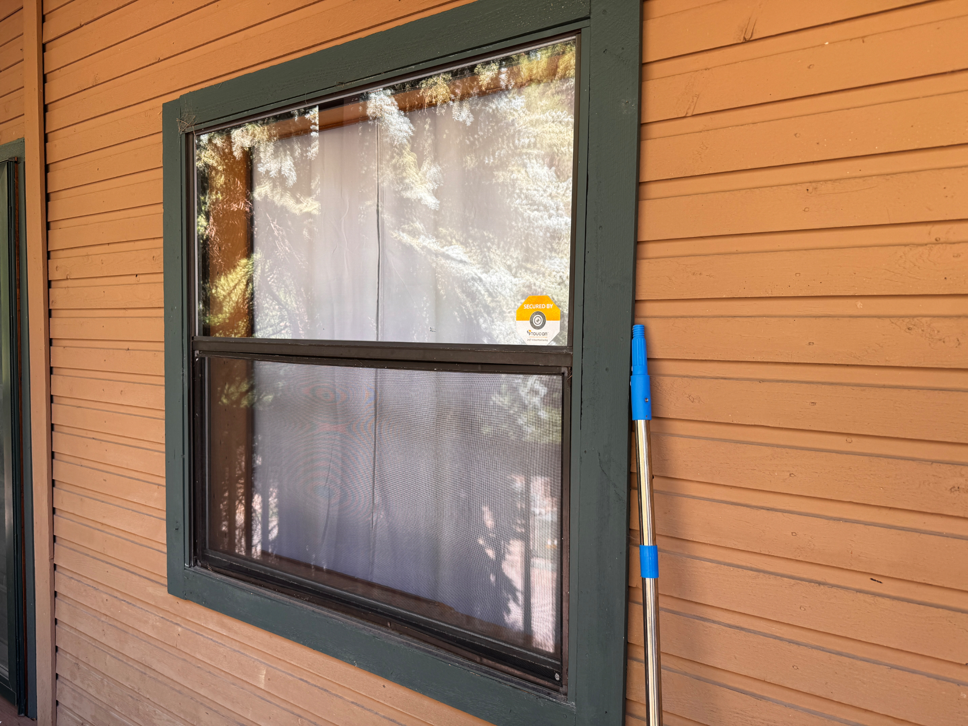 Freshly cleaned residential window with screen and a water-fed pole leaning against the siding